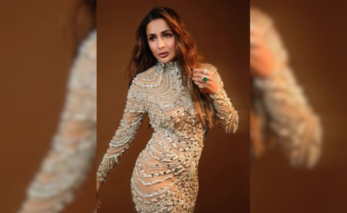 <i>Hip hop season 2</i> Judge Malaika Arora on whether the reality show is scripted

