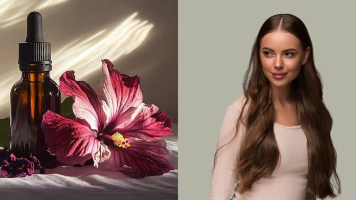 How to create hibiscus oil for instant hair growth and nutrition

