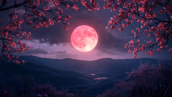 April 2025 Pink Micromoon: Date, the time of this rare event, where to see, and will it appear in India?


