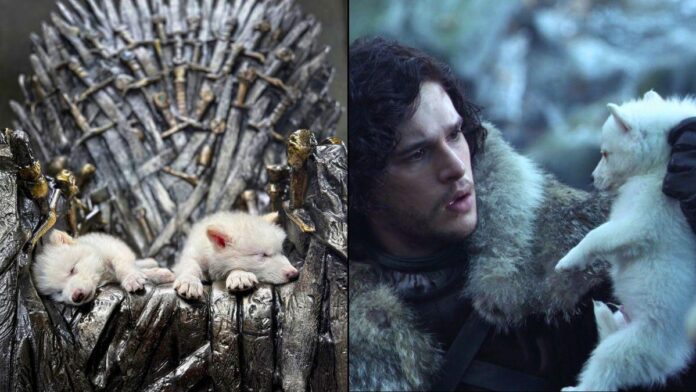 Collosal Biocheness George RR Martin and Peter Jackson revives strict wolf due to extinction with the help of extinction

