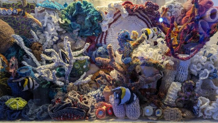Ocean Conservation takes the center stage at the Alliance Francs of Madras

