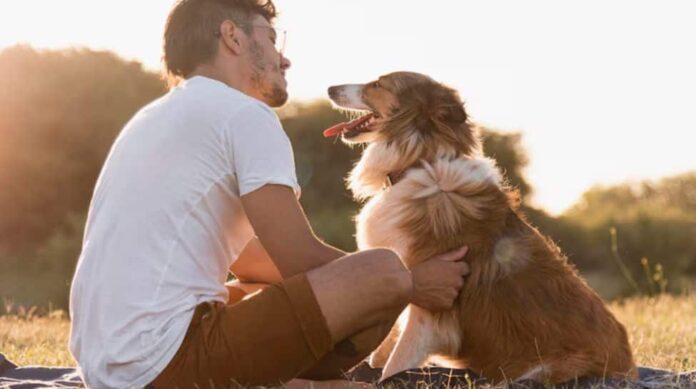 Pets power in reducing loneliness and social isolation for risk groups


