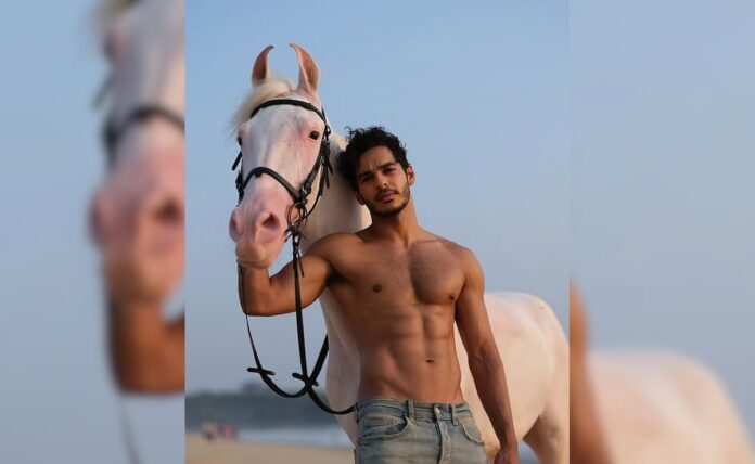 <i>The roles</i> Review: Ishaan Khatar's bare chest works overtime in a show that does not.

