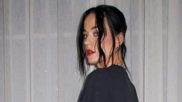 Katy Perry stranded by a fan during a Sydney concert

