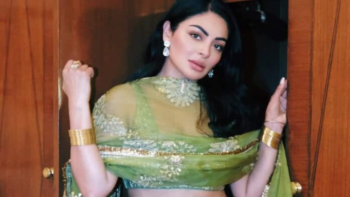 Neeru Bajwa Deletes Diljit Dosanjh Sardaar Ji 3 Posts Amid Hania Aamir Backlash Netizens React Neeru Bajwa Deletes 