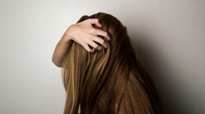 it's summer time! Weather to hydrate and nourish your strands

