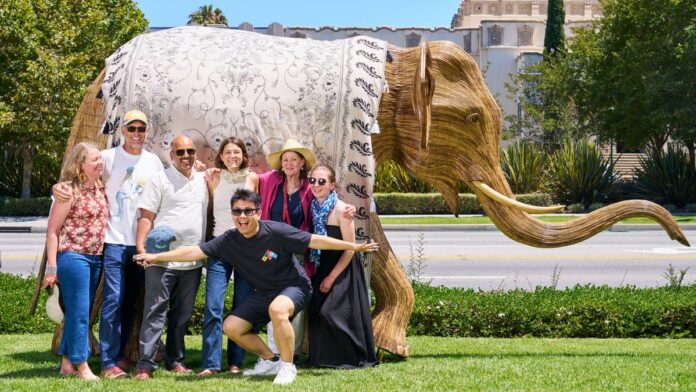 100 elephants on great elephant stay and their designer blankets

