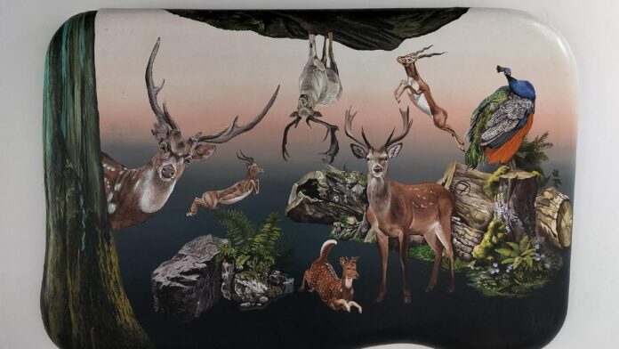 Satadru Sowan Banduri's single show focuses on biodiversity in Hyderabad that is facing existence threats

