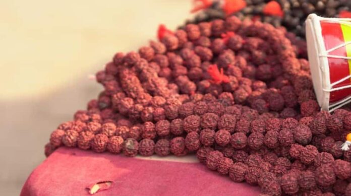 Wearing Rudraksha? Check the professionals and opposition of this divine prayer bead

