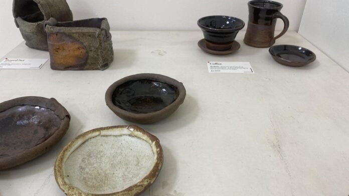 Artist Kaveri Bharata's art show adds ceramic, colors and memories to Chennai

