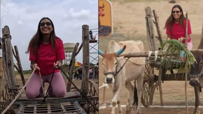Fourteen Chali Gone episode update: Divus took the Bullock Cart Challenge - Who will lead?

