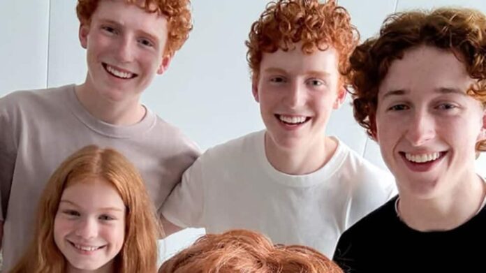 Harry Potter Series Makers unveiled Vesley brothers and sisters: Ginni, Percy and Twins Fred-George

