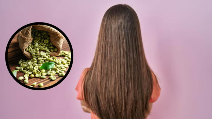 How to effectively use green coffee for hair growth: natural remedies, benefits and tips

