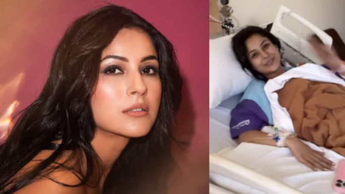 Shahnaz Gill admitted to the hospital: Karan Veer Mehra shares the video, prays for his recovery

