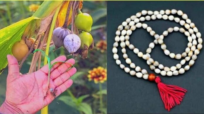 Vaijyanti Mala - 7 powerful benefits on Janamashtami

