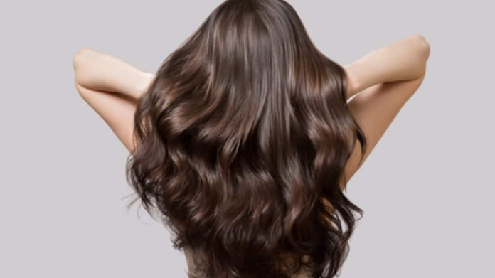 What is apricot oil? Search for its benefits and how can it naturally change the strength and glow of your hair


