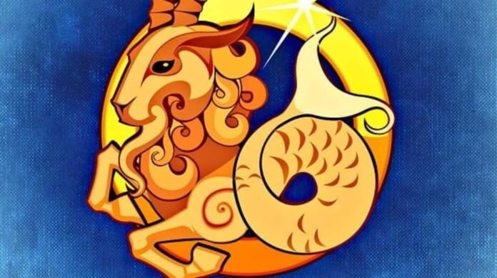 8 - 14 September Capricorn Weekly Kundali: Plan your week wisely - love, career, health, and more

