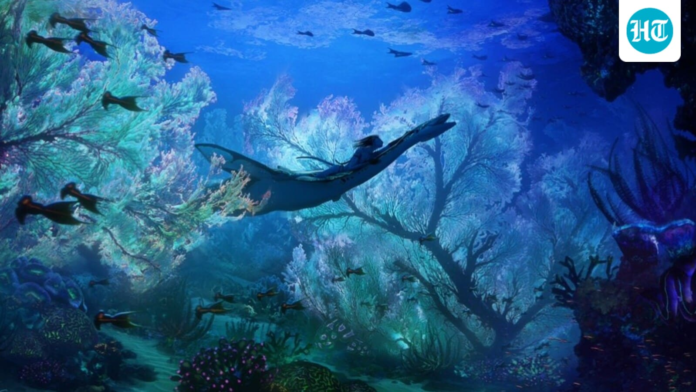 Avatar: Water route returns to theaters with new fire and ash footage. What do you know here

