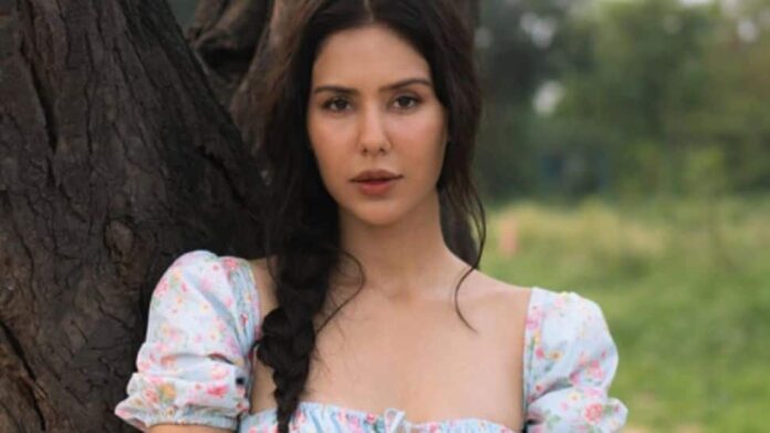 Sonam Bajwa requested donation, Ammi Virk adopts 200 houses for Punjab flood victims

