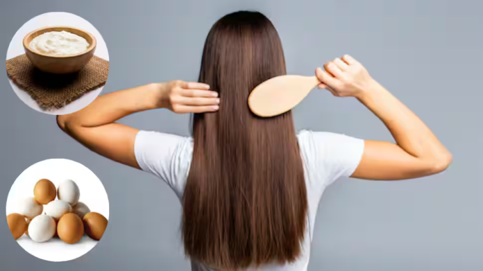 Curd vs Egg for Hair Growth 2025: Which Natural Ingredient Nourishes, Strengthens and Boosts Hair Best?

