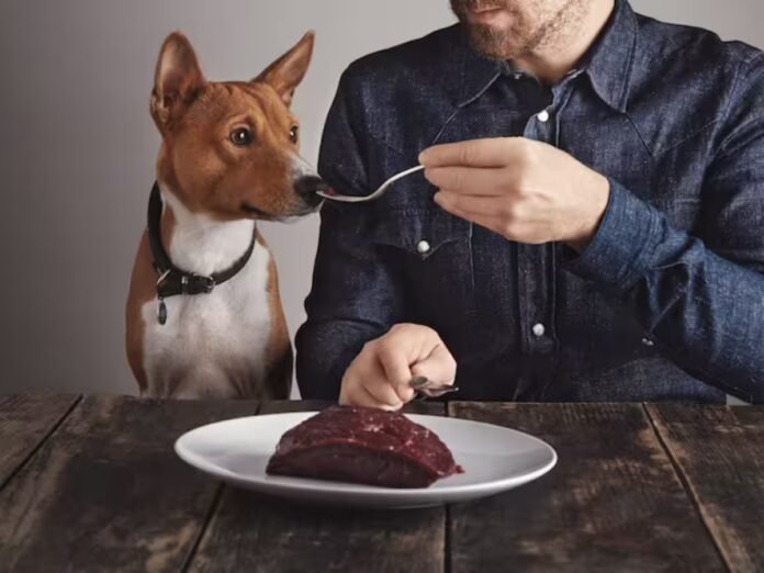 Are super-foods safe for pets? What to avoid?