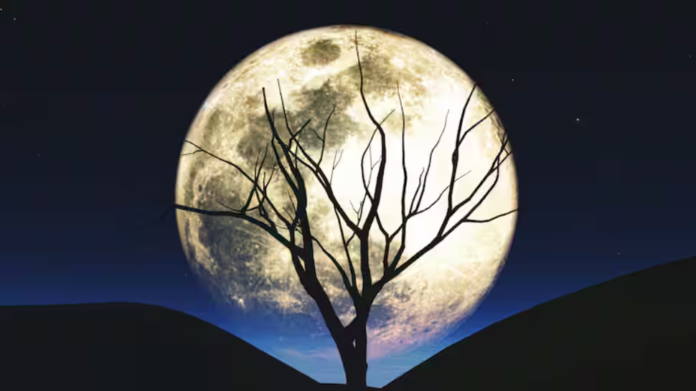 First full moon of 2026 tonight? Discover the date, historical significance of the Wolf Moon and why January's full moon is unique and bright

