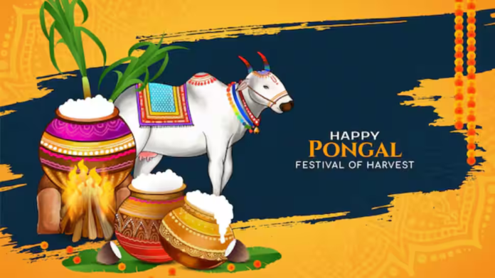 Happy Pongal 2026: 100+ Wishes, Quotes, Messages and Images to Share with Your Family and Friends


