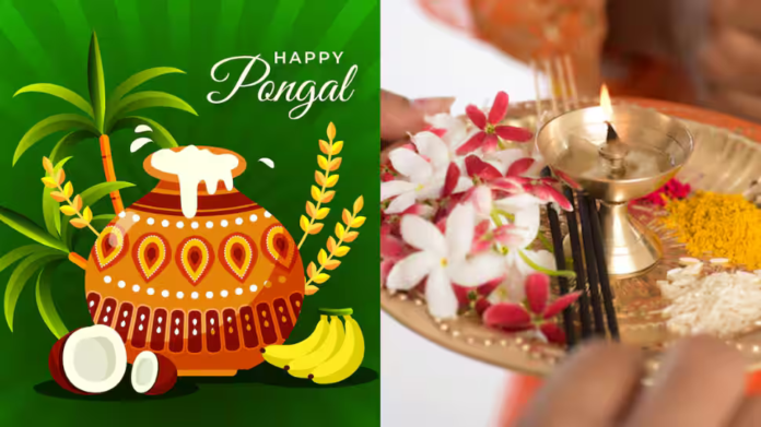 Pongal 2026: Happy Thai Pongal, 100+ English and Telugu Wishes, Messages, Greetings, and Images to share with your family and loved ones