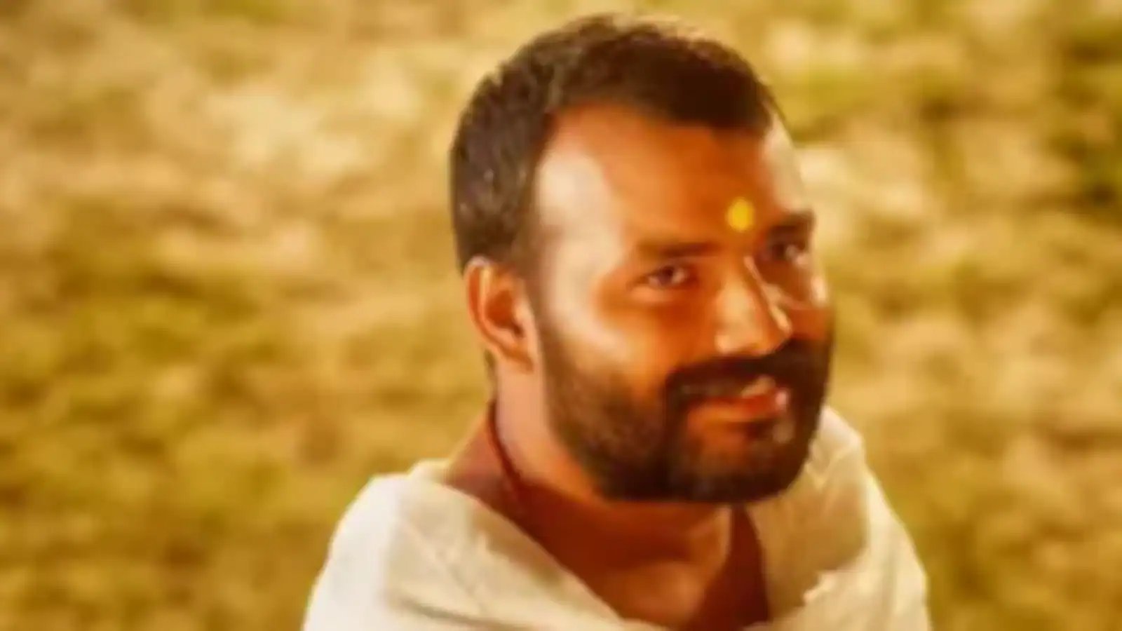 Hanuman Part Box office collection Day 51: Vishal Chaturvedi film crosses Rs 350 crore mark in India