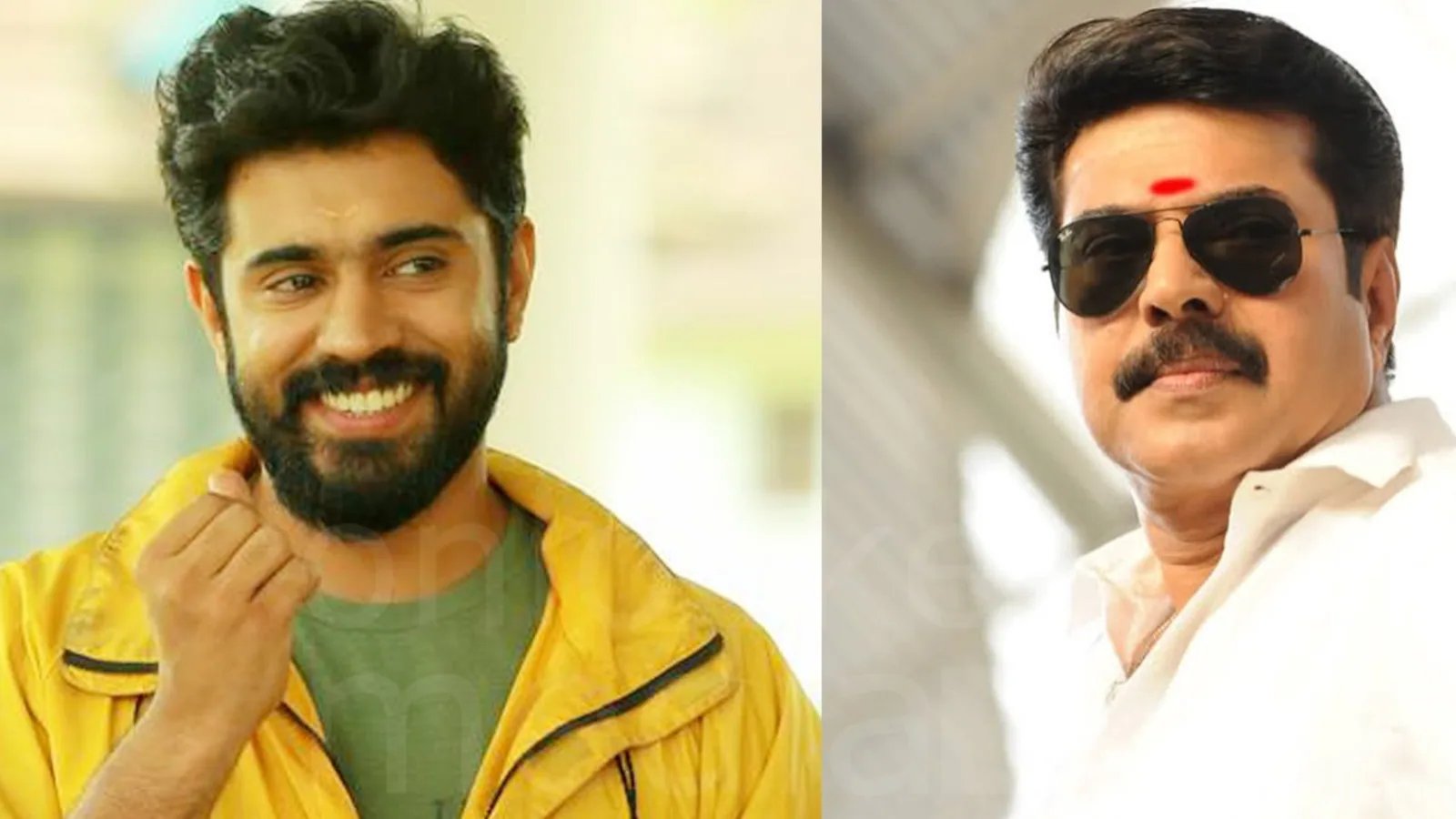 "My dream is to work with Mamuka": Bethlehem Family Unit Star Nivin Pauly