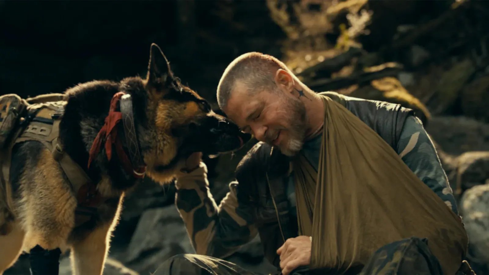 animal heart Review: Brad Pitt and his four-legged co-star make this survival drama worth the trip