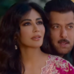 When will Salman Khan's motherland release? The latest report reveals the current situation