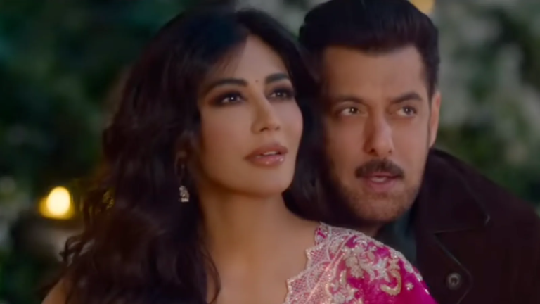 When will Salman Khan's motherland release? The latest report reveals the current situation