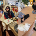 YouTuber Sourav Joshi criticized after asking wife Avantika to drink from pet dog Oreo's water bowl